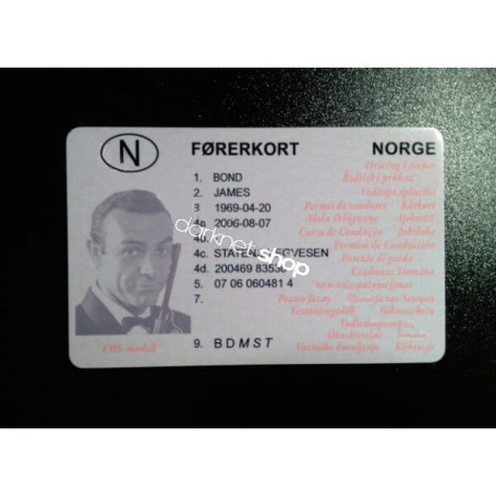 Norwegen Fake Füherschein