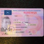 Niederlande Fake Führerschein
