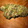 Amnesia Weed