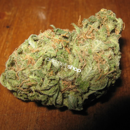 Jack Herer Weed