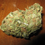 Jack Herer Weed